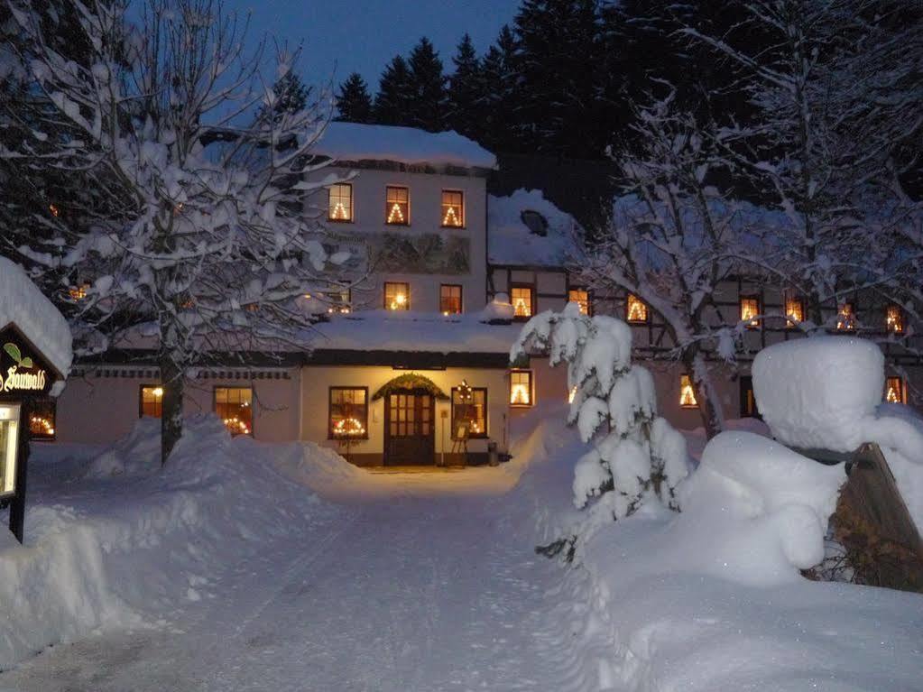 Waldgasthof & Hotel Am Sauwald Tannenberg Eksteriør billede